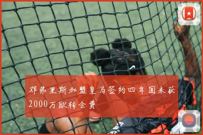 邓弗里斯加盟皇马签约四年国米获2000万欧转会费