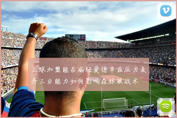 三球加盟能否减轻爱德华兹压力麦丹三分能力如何影响森林狼战术