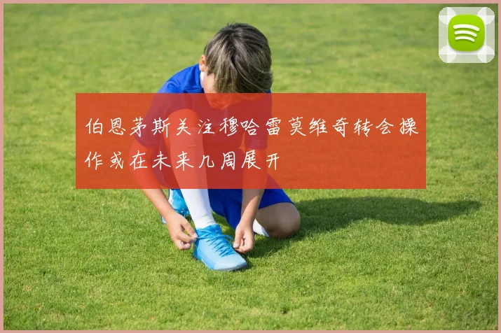 伯恩茅斯关注穆哈雷莫维奇转会操作或在未来几周展开