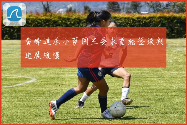 黄蜂追求小萨国王要求首轮签谈判进展缓慢